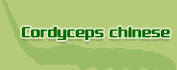 Китайский екстракт от Кордицепс